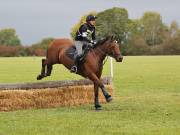 Image 173 in BECCLES AND BUNGAY RIDING CLUB. HUNTER TRIAL. 14TH. OCTOBER 2018