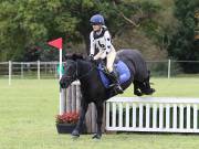 Image 188 in BECCLES AND BUNGAY RIDING CLUB. HUNTER TRIAL. 14TH. OCTOBER 2018