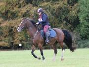 Image 190 in BECCLES AND BUNGAY RIDING CLUB. HUNTER TRIAL. 14TH. OCTOBER 2018