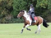 Image 194 in BECCLES AND BUNGAY RIDING CLUB. HUNTER TRIAL. 14TH. OCTOBER 2018