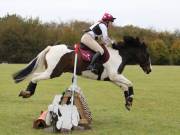 Image 195 in BECCLES AND BUNGAY RIDING CLUB. HUNTER TRIAL. 14TH. OCTOBER 2018