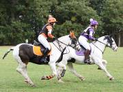 Image 21 in BECCLES AND BUNGAY RIDING CLUB. HUNTER TRIAL. 14TH. OCTOBER 2018