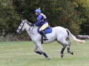 Image 224 in BECCLES AND BUNGAY RIDING CLUB. HUNTER TRIAL. 14TH. OCTOBER 2018