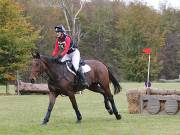 Image 230 in BECCLES AND BUNGAY RIDING CLUB. HUNTER TRIAL. 14TH. OCTOBER 2018