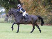Image 234 in BECCLES AND BUNGAY RIDING CLUB. HUNTER TRIAL. 14TH. OCTOBER 2018