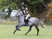 Image 238 in BECCLES AND BUNGAY RIDING CLUB. HUNTER TRIAL. 14TH. OCTOBER 2018