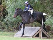 Image 239 in BECCLES AND BUNGAY RIDING CLUB. HUNTER TRIAL. 14TH. OCTOBER 2018