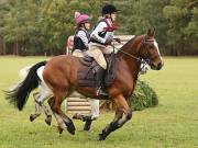 Image 24 in BECCLES AND BUNGAY RIDING CLUB. HUNTER TRIAL. 14TH. OCTOBER 2018