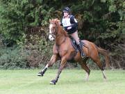Image 241 in BECCLES AND BUNGAY RIDING CLUB. HUNTER TRIAL. 14TH. OCTOBER 2018