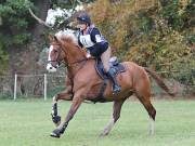 Image 242 in BECCLES AND BUNGAY RIDING CLUB. HUNTER TRIAL. 14TH. OCTOBER 2018