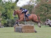 Image 244 in BECCLES AND BUNGAY RIDING CLUB. HUNTER TRIAL. 14TH. OCTOBER 2018