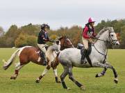 Image 26 in BECCLES AND BUNGAY RIDING CLUB. HUNTER TRIAL. 14TH. OCTOBER 2018