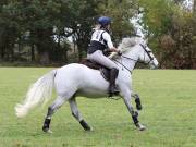 Image 271 in BECCLES AND BUNGAY RIDING CLUB. HUNTER TRIAL. 14TH. OCTOBER 2018