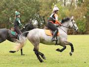 Image 32 in BECCLES AND BUNGAY RIDING CLUB. HUNTER TRIAL. 14TH. OCTOBER 2018