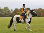 Image 39 in BECCLES AND BUNGAY RIDING CLUB. HUNTER TRIAL. 14TH. OCTOBER 2018