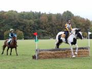 Image 40 in BECCLES AND BUNGAY RIDING CLUB. HUNTER TRIAL. 14TH. OCTOBER 2018