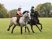 Image 46 in BECCLES AND BUNGAY RIDING CLUB. HUNTER TRIAL. 14TH. OCTOBER 2018