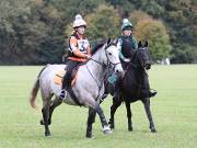 Image 51 in BECCLES AND BUNGAY RIDING CLUB. HUNTER TRIAL. 14TH. OCTOBER 2018