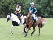 Image 64 in BECCLES AND BUNGAY RIDING CLUB. HUNTER TRIAL. 14TH. OCTOBER 2018