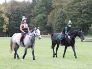 Image 71 in BECCLES AND BUNGAY RIDING CLUB. HUNTER TRIAL. 14TH. OCTOBER 2018