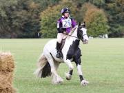Image 89 in BECCLES AND BUNGAY RIDING CLUB. HUNTER TRIAL. 14TH. OCTOBER 2018