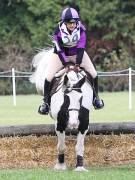 Image 90 in BECCLES AND BUNGAY RIDING CLUB. HUNTER TRIAL. 14TH. OCTOBER 2018