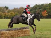 Image 91 in BECCLES AND BUNGAY RIDING CLUB. HUNTER TRIAL. 14TH. OCTOBER 2018