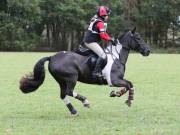 Image 93 in BECCLES AND BUNGAY RIDING CLUB. HUNTER TRIAL. 14TH. OCTOBER 2018