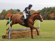 Image 96 in BECCLES AND BUNGAY RIDING CLUB. HUNTER TRIAL. 14TH. OCTOBER 2018