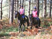 Image 1 in ANGLIAN DISTANCE RIDERS. BRANDON. 28TH OCTOBER 2018.