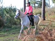 Image 100 in ANGLIAN DISTANCE RIDERS. BRANDON. 28TH OCTOBER 2018.