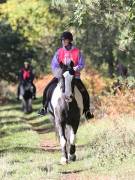 Image 103 in ANGLIAN DISTANCE RIDERS. BRANDON. 28TH OCTOBER 2018.