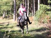 Image 106 in ANGLIAN DISTANCE RIDERS. BRANDON. 28TH OCTOBER 2018.