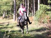 Image 106 in ANGLIAN DISTANCE RIDERS. BRANDON. 28TH OCTOBER 2018.