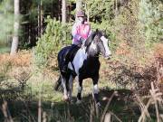 Image 107 in ANGLIAN DISTANCE RIDERS. BRANDON. 28TH OCTOBER 2018.