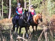 Image 108 in ANGLIAN DISTANCE RIDERS. BRANDON. 28TH OCTOBER 2018.