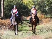 Image 109 in ANGLIAN DISTANCE RIDERS. BRANDON. 28TH OCTOBER 2018.