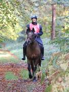 Image 11 in ANGLIAN DISTANCE RIDERS. BRANDON. 28TH OCTOBER 2018.