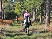 Image 110 in ANGLIAN DISTANCE RIDERS. BRANDON. 28TH OCTOBER 2018.