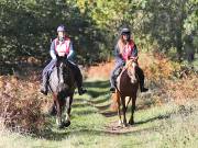 Image 112 in ANGLIAN DISTANCE RIDERS. BRANDON. 28TH OCTOBER 2018.