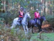 Image 116 in ANGLIAN DISTANCE RIDERS. BRANDON. 28TH OCTOBER 2018.
