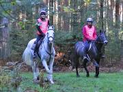 Image 117 in ANGLIAN DISTANCE RIDERS. BRANDON. 28TH OCTOBER 2018.