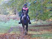 Image 12 in ANGLIAN DISTANCE RIDERS. BRANDON. 28TH OCTOBER 2018.