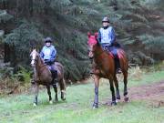 Image 120 in ANGLIAN DISTANCE RIDERS. BRANDON. 28TH OCTOBER 2018.