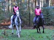 Image 122 in ANGLIAN DISTANCE RIDERS. BRANDON. 28TH OCTOBER 2018.