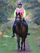 Image 123 in ANGLIAN DISTANCE RIDERS. BRANDON. 28TH OCTOBER 2018.