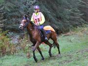 Image 124 in ANGLIAN DISTANCE RIDERS. BRANDON. 28TH OCTOBER 2018.