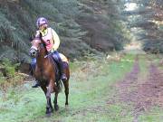 Image 126 in ANGLIAN DISTANCE RIDERS. BRANDON. 28TH OCTOBER 2018.