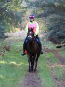 Image 127 in ANGLIAN DISTANCE RIDERS. BRANDON. 28TH OCTOBER 2018.