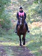 Image 128 in ANGLIAN DISTANCE RIDERS. BRANDON. 28TH OCTOBER 2018.